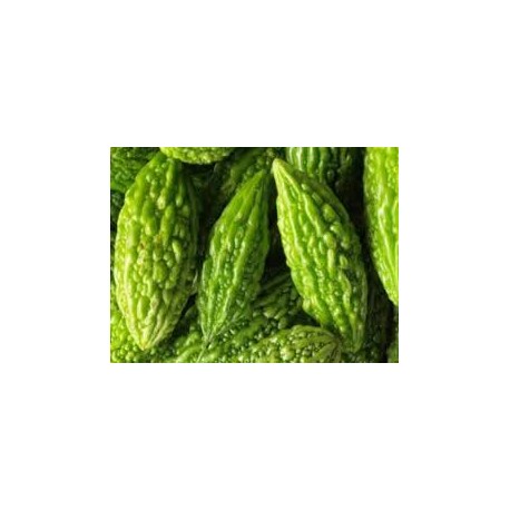 Karela