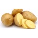 Potato