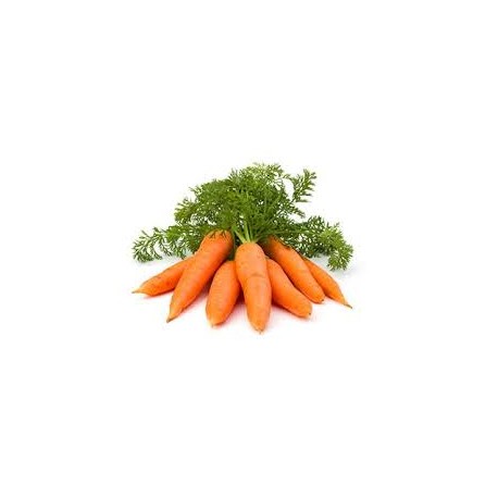 Carrots