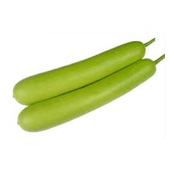 Bottle gourd