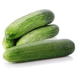 Cucumber