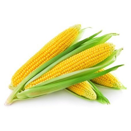 Green Makka (Bhutta)