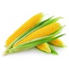 Green Makka (Bhutta)