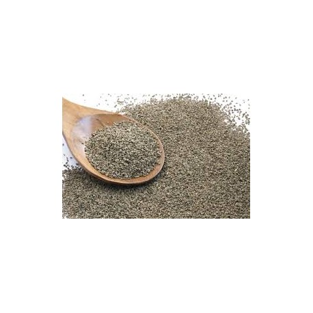 Carom Seeds (Ajvain)