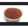 Raeei Seeds